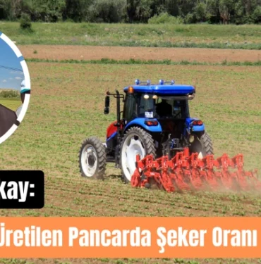 baskan-akay-quot-hafik-te-uretilen-pancarda-seker-orani-yuksek-quot-850432.webp.webp