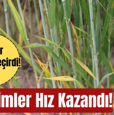 ihbarlar-harekete-gecirdi-denetimler-hiz-kazandi-583568.webp.webp