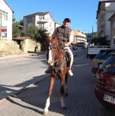 koyunlarla-koro-kurdu-848803.webp.webp