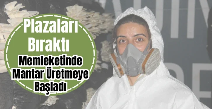 plazalari-birakti-memleketinde-mantar-uretmeye-basladi-774219.webp.webp