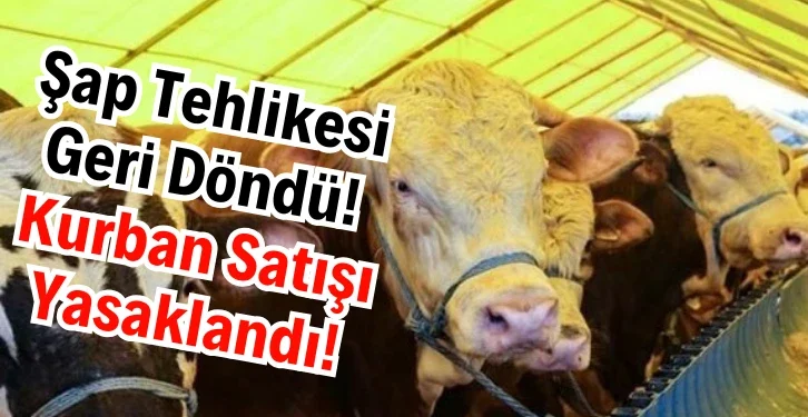sap-tehlikesi-geri-dondu-kurban-satisi-yasaklandi-37759.webp.webp