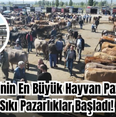 turkiye-nin-en-buyuk-hayvan-pazarinda-siki-pazarliklar-basladi-43081.webp.webp