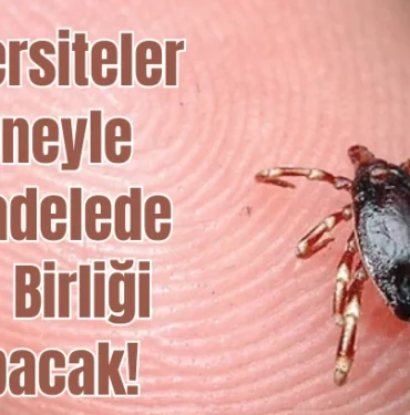 universiteler-keneyle-mucadelede-guc-birligi-yapacak-824145.webp.webp