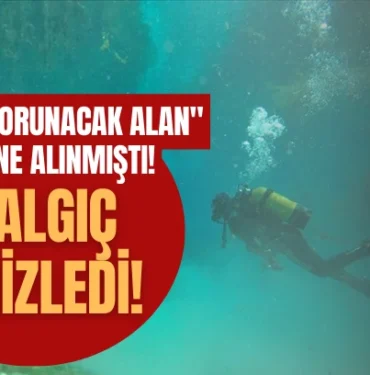 quot-hassas-korunacak-alan-quot-listesine-alinmisti-8-dalgic-temizledi-555250.webp