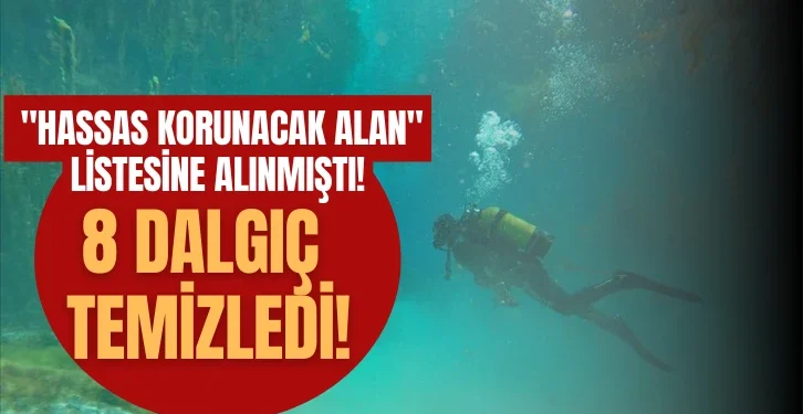 quot-hassas-korunacak-alan-quot-listesine-alinmisti-8-dalgic-temizledi-555250.webp