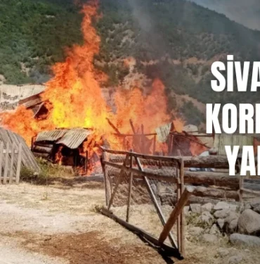 sivas-ta-korkutan-yangin-322534.webp.webp
