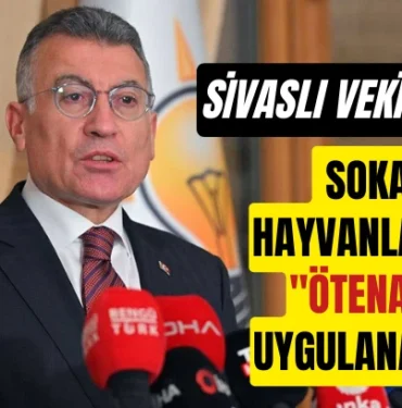 sivasli-vekil-sokak-kopeklerine-quot-otenazi-quot-uygulanacagini-soyledi-954220.webp.webp