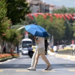 66ab7ed4546ae307.jpg