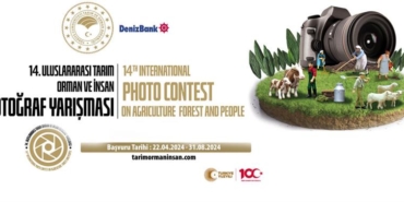 tarım orman ve insan