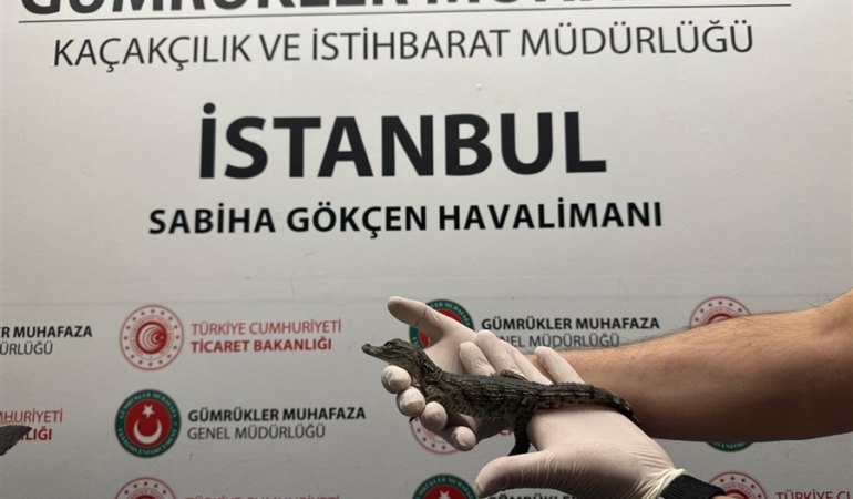 timsahyakalndi.jpg