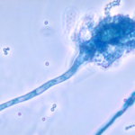 681af9258ece9513.jpg