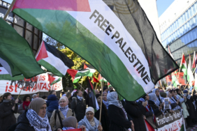 68fcee3d58669712.jpg