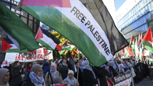68fcee3d58669712.jpg