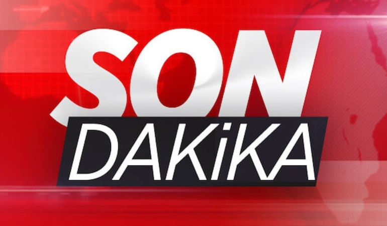 sonex2.jpg