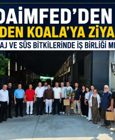 daimfedden-garden-koalaya-ziyaret-peyzaj-ve-sus-bitkilerinde-is-birligi-mesaji-106a64b033298f4.webp.webp