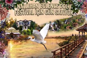 nallihan-eglence-dolu-festival-icin-gun-sayiyor-106a916ad3b805a.webp.webp