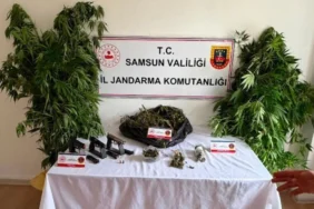 salipazarinda-jandarmadan-uyusturucu-operasyonu-106a84380d62d7f.webp.webp