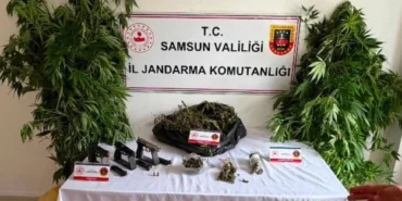 salipazarinda-jandarmadan-uyusturucu-operasyonu-106a84380d62d7f.webp.webp