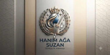 ankarada-temizligin-adresi-hanimaga-temizlik-106ab251304ad64.webp.webp