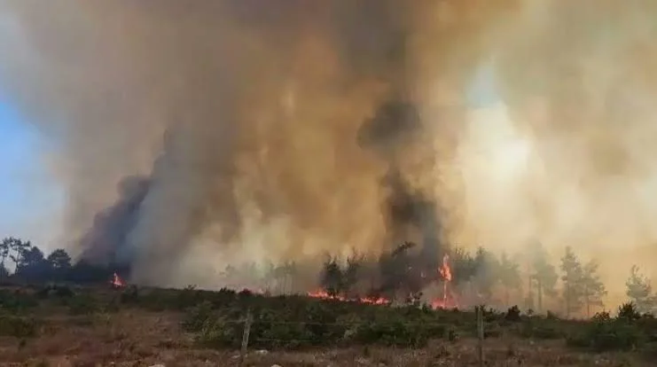 featured