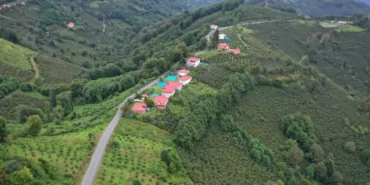 ordu-caybasinda-6-kilometrelik-yol-asfaltlandi-106aabeaa292359.webp.webp