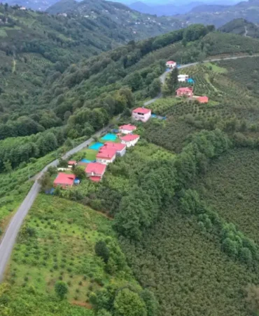 ordu-caybasinda-6-kilometrelik-yol-asfaltlandi-106aabeaa292359.webp.webp