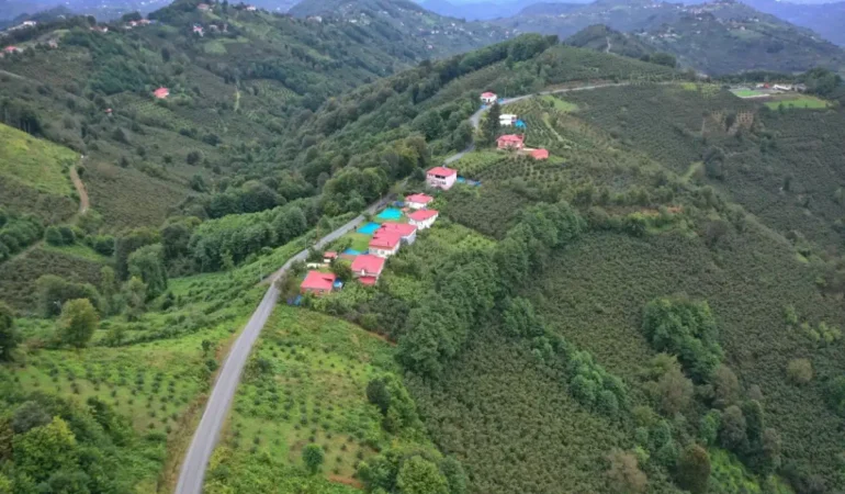 ordu-caybasinda-6-kilometrelik-yol-asfaltlandi-106aabeaa292359.webp.webp