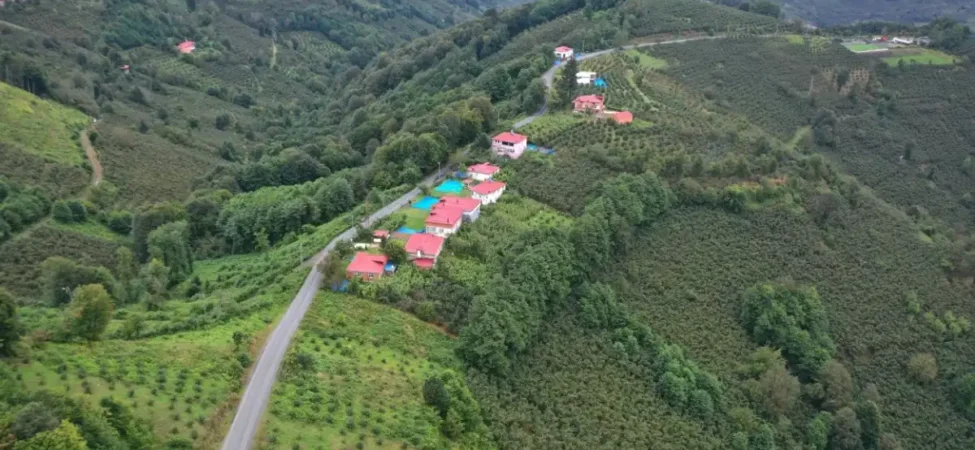 ordu-caybasinda-6-kilometrelik-yol-asfaltlandi-106aabeaa292359.webp.webp