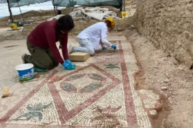 pompeiopoliste-yeni-kesif-105-metrekarelik-mozaik-ve-eros-basi-bulundu-106a9e6b8914a94.webp.webp