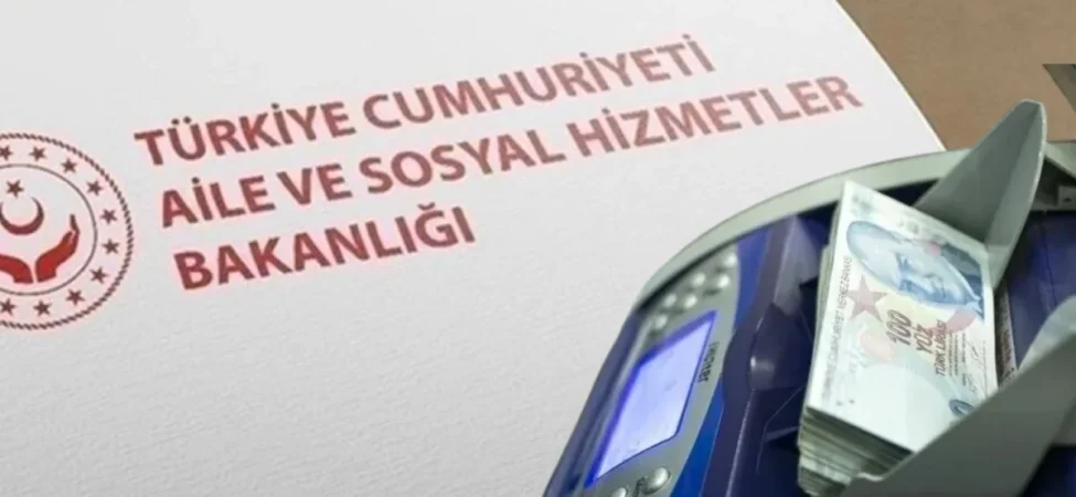 ailelere-9-ayda-173-milyar-liralik-sed-destegi-106ac0bf9f40ea6.webp.webp