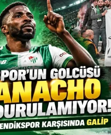 bursasporun-golcusu-iheanacho-durdurulamiyor-11-macta-15-gol-106ad7474bbec01.webp.webp