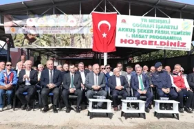 orduda-akkus-seker-fasulyesi-hasati-basladi-106acf2f44af28f.webp.webp