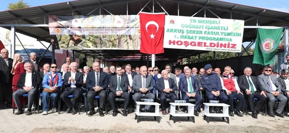 orduda-akkus-seker-fasulyesi-hasati-basladi-106acf2f44af28f.webp.webp